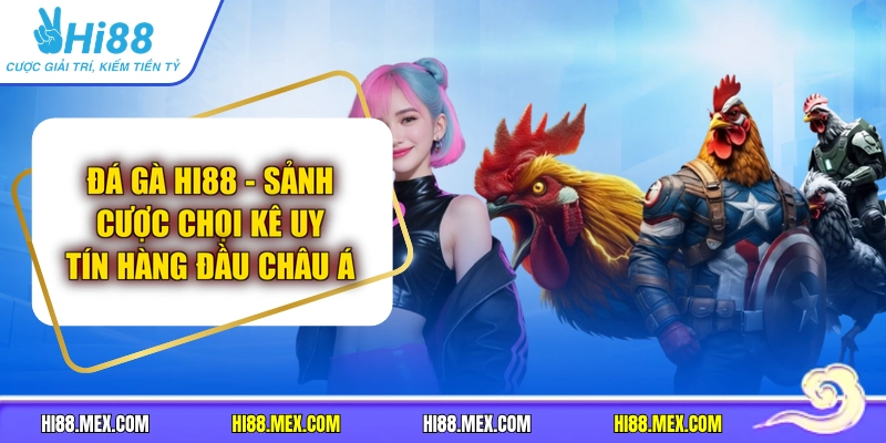Đá Gà HI88 - Sảnh Cược Chọi Kê Uy Tín Hàng Đầu Châu Á