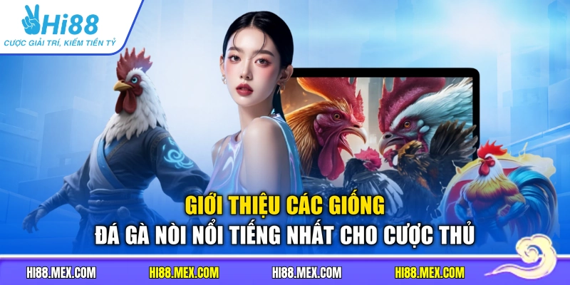 Giới thiệu các giống đá gà nòi nổi tiếng nhất cho cược thủ