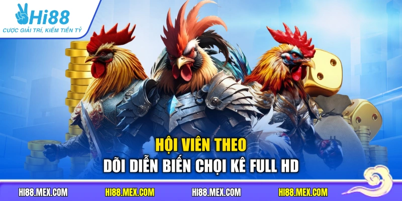 Hội viên theo dõi diễn biến chọi kê full HD