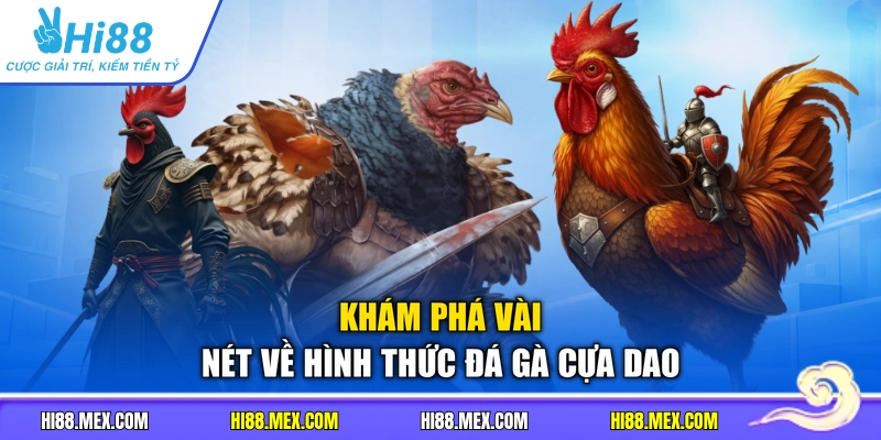 Khám phá vài nét về hình thức đá gà cựa dao