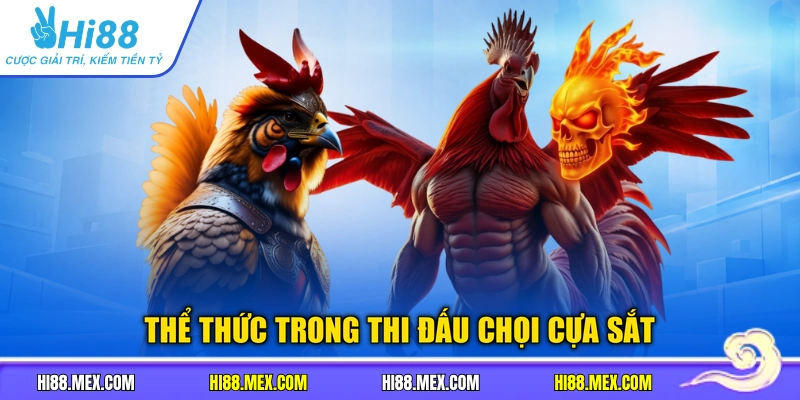 Thể thức trong thi đấu chọi cựa sắt