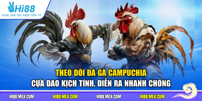 Theo dõi đá gà Campuchia cựa dao kịch tính, diễn ra nhanh chóng