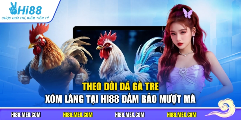 Theo dõi đá gà tre xóm làng tại HI88 đảm bảo mượt mà