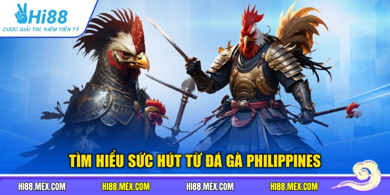 Tìm hiểu sức hút từ đá gà philippines