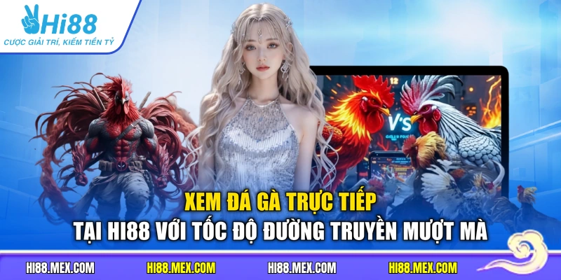 Xem đá gà trực tiếp tại HI88 với tốc độ đường truyền mượt mà